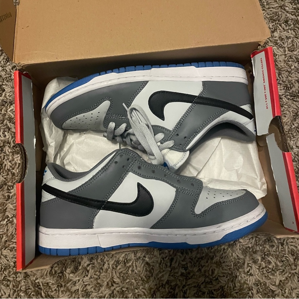 Nike Dunk Low Cool Gray Sneakers